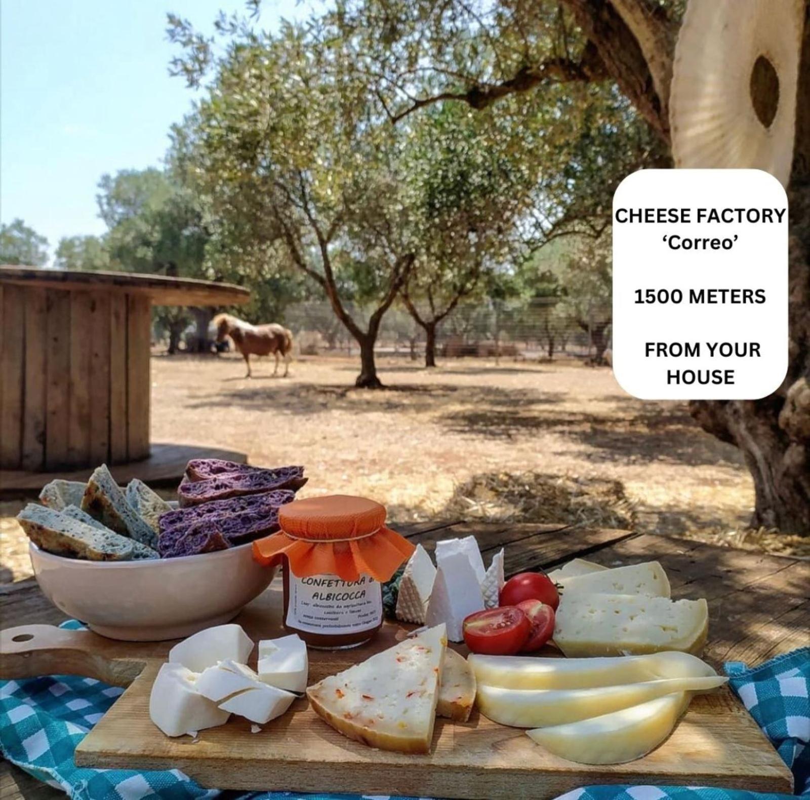 La Corte Della Masseria 圣维托诺曼 外观 照片